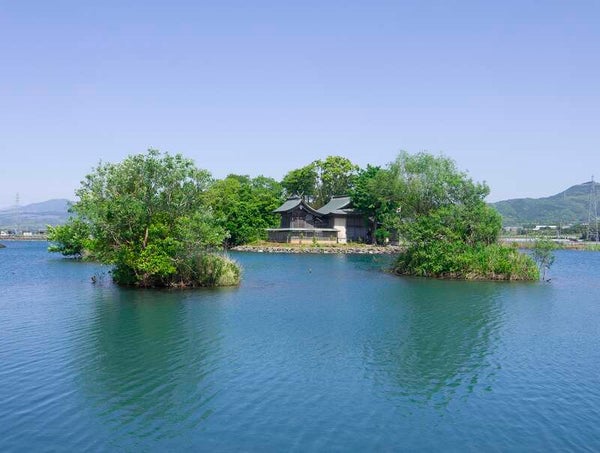 【大分・かんたん・北浜・別府発】 ぴちぴちピーチna桃2玉&極甘スイートコーン2本お持ち帰り&あか牛vsあそび豚食べ比べ!もっともっと熊本ウキウキ大総力祭 日帰り 3